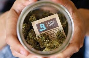 Boveda