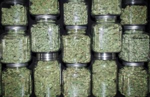 5 Tips to Improve Cannabis Storage | Weed Containers & Pot Storage Tips