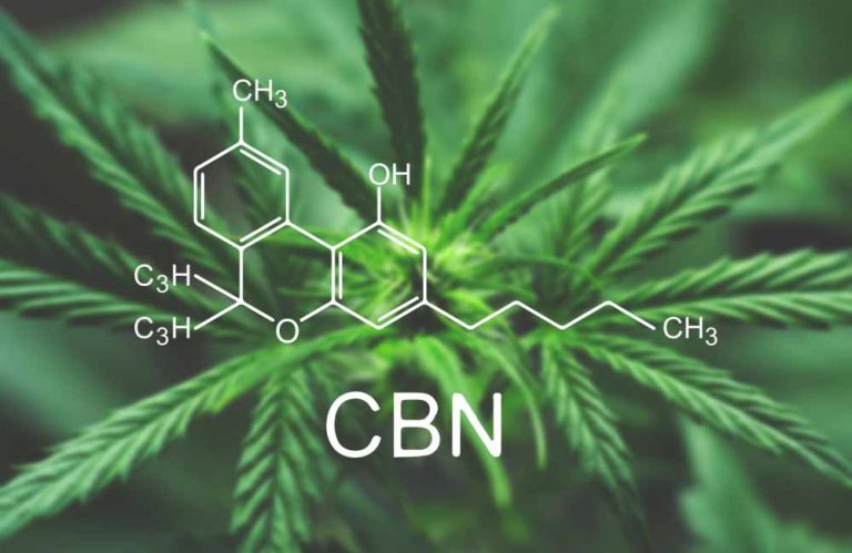 What Is CBN and What Are Its Potential Benefits? | Cannabinoids