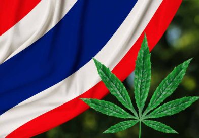 Prime Minister Wants to Reverse Thailand Legal Cannabis Laws
