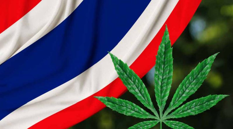 thailand legal cannabis
