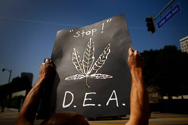 DEA cannabis legalization