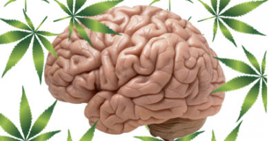 Men with a History of Cannabis Use Show Less Cognitive Decline, Study Finds