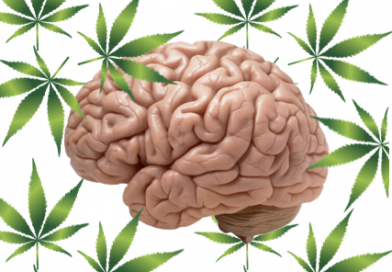 Men with a History of Cannabis Use Show Less Cognitive Decline, Study Finds